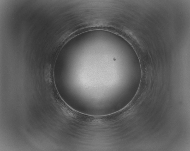 X0000073831265200608170932