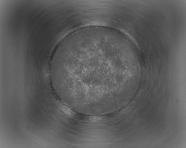 X0000073831266200608170932