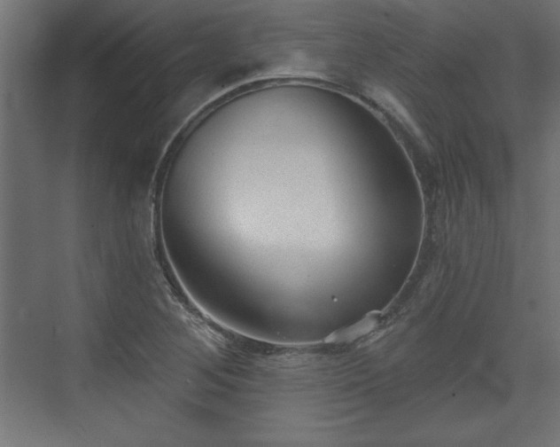 X0000073831268200608170932