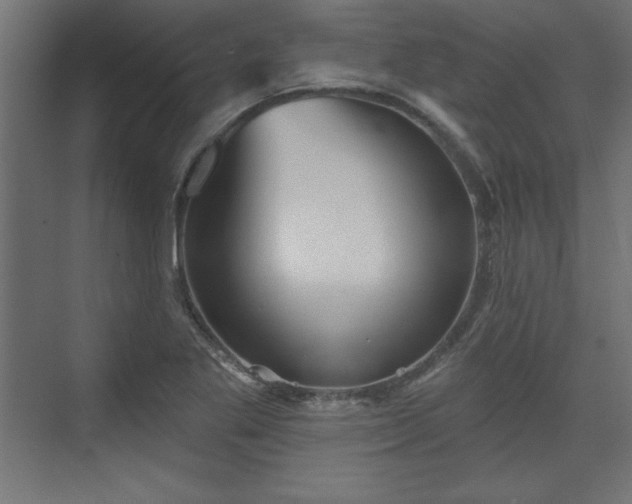 X0000073831269200608170932