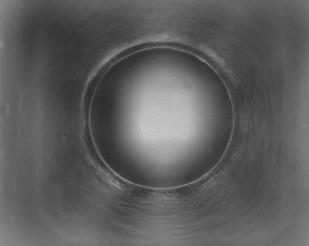 X0000073831270200608170932