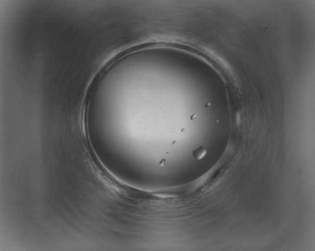 X0000073831272200608170932