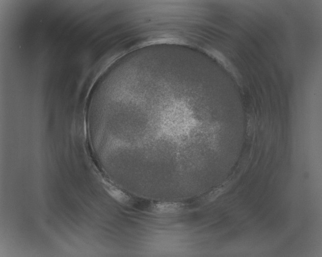 X0000073831274200608170931