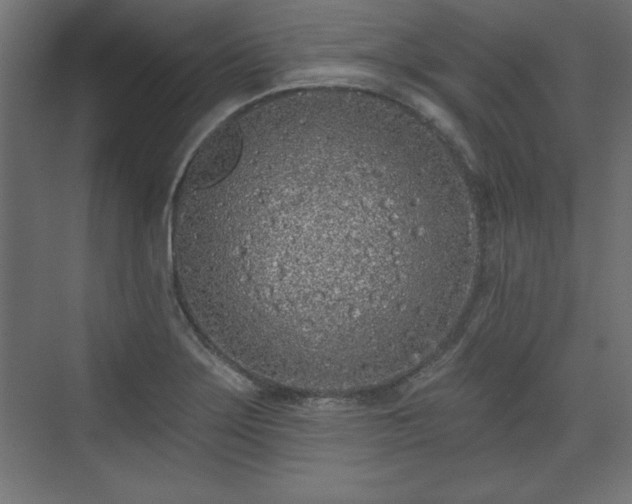 X0000073831275200608170931