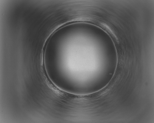 X0000073831276200608170931