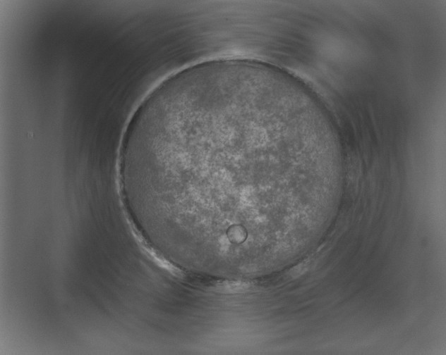 X0000073831278200608170931