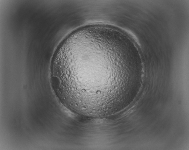 X0000073831279200608170931