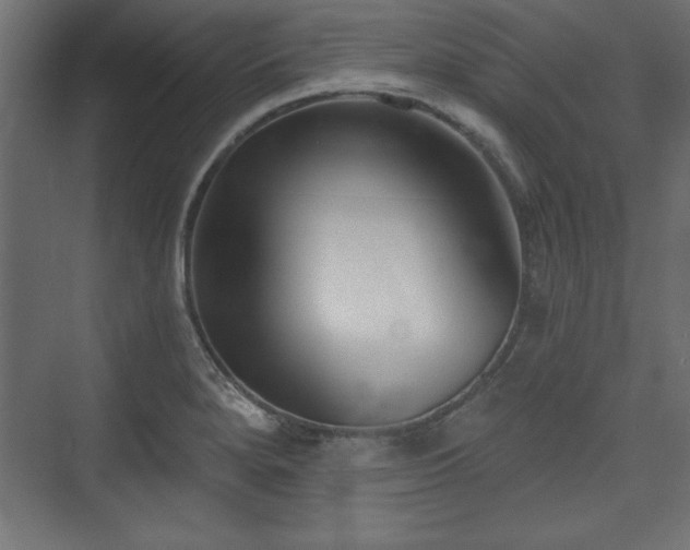 X0000073831280200608170931