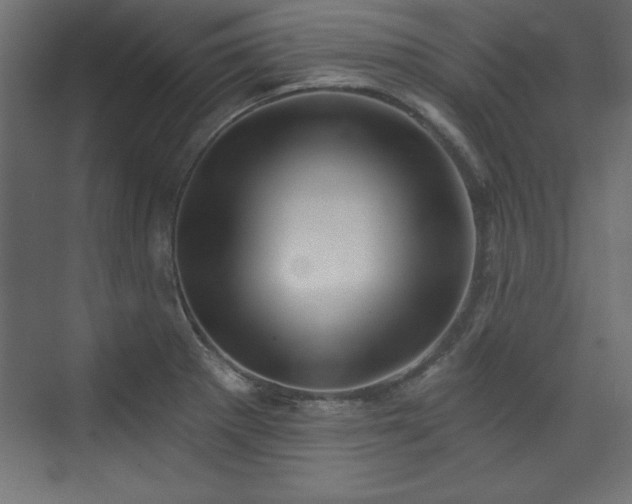 X0000073831281200608170931