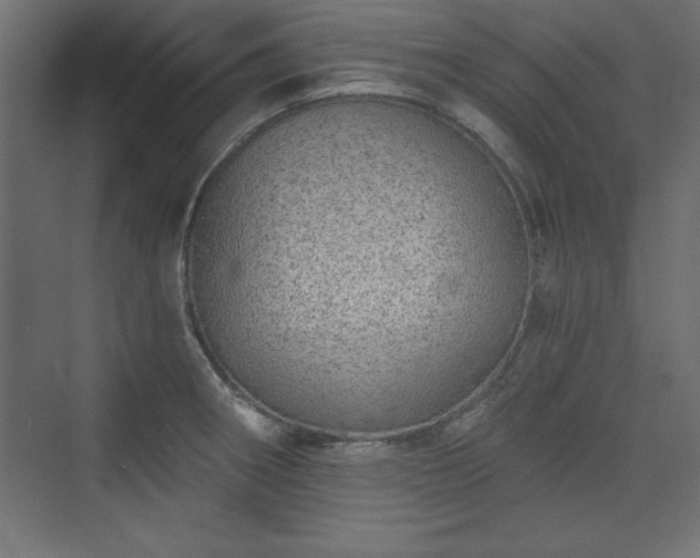 X0000073831282200608170931