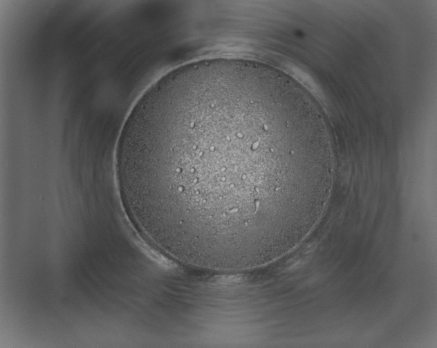 X0000073831283200608170931