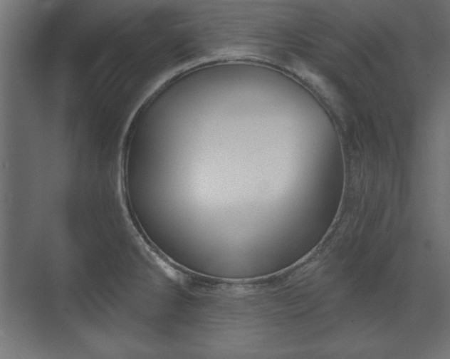 X0000073831286200608170931