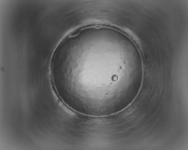 X0000073831287200608170931