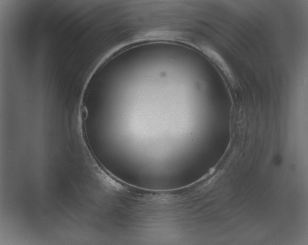 X0000073831288200608170931