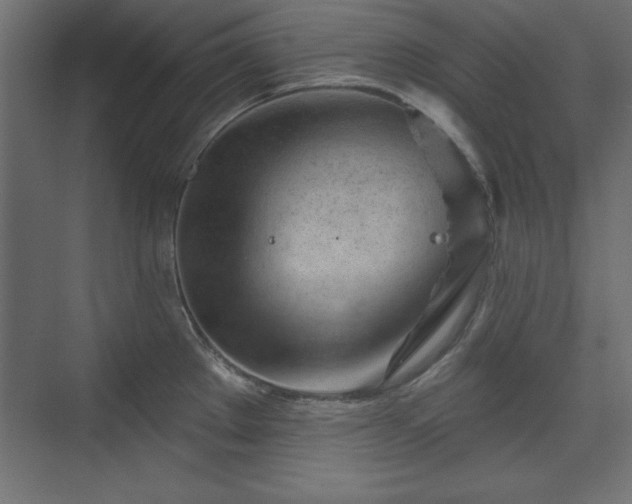 X0000073831289200608170931