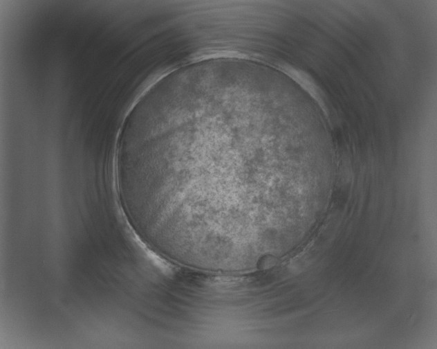 X0000073831290200608170931