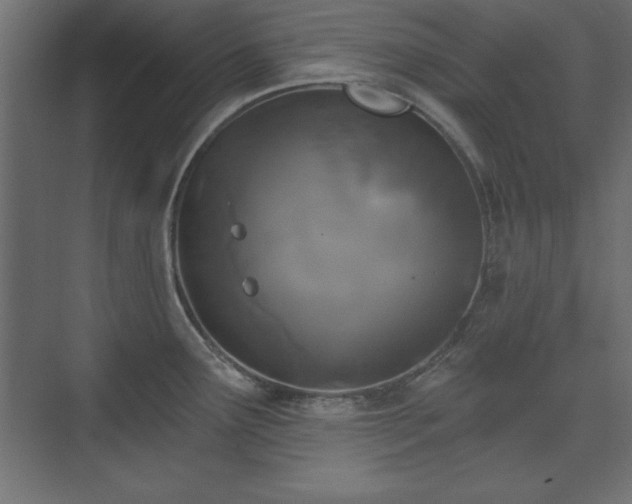 X0000073831291200608170931