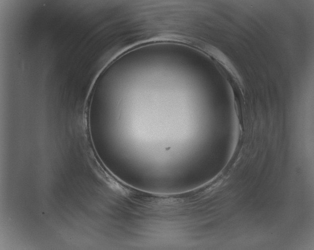 X0000073831292200608170931