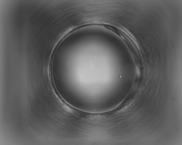 X0000073831293200608170931