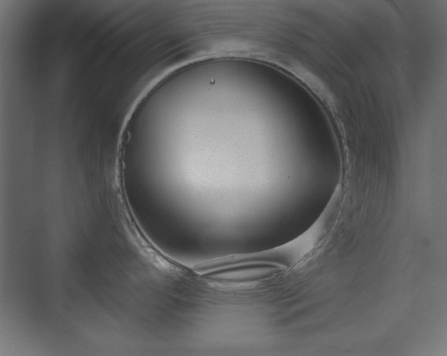 X0000073831296200608170931