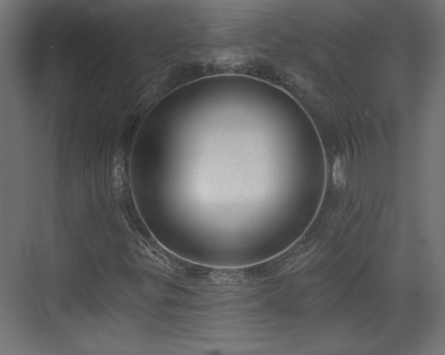 X0000073831299200608170930