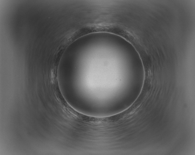 X0000073831300200608170930