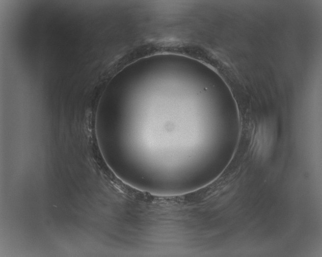 X0000073831301200608170930