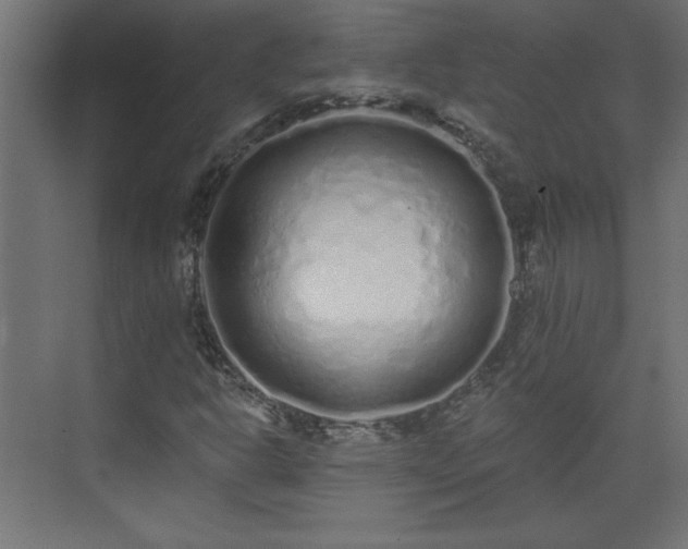 X0000073831302200608170930