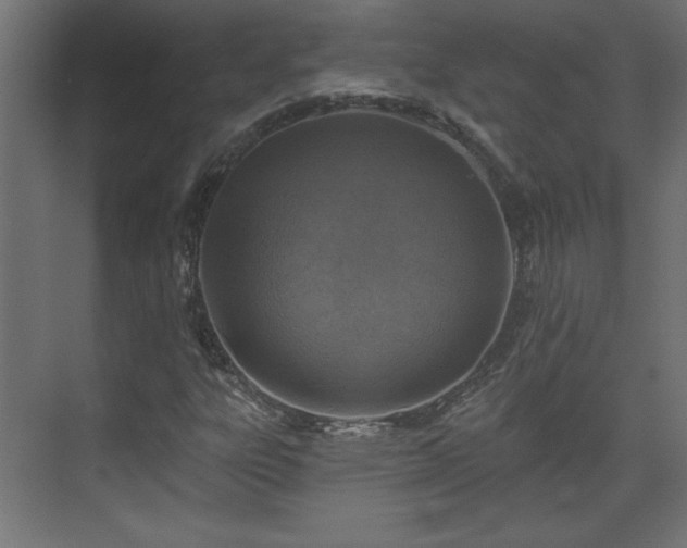 X0000073831303200608170930