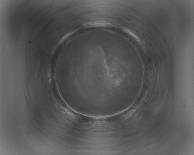 X0000073831306200608170930