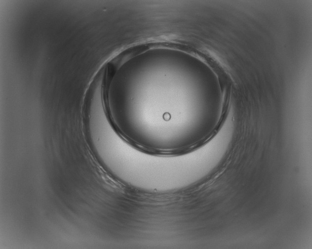 X0000073831308200608170930