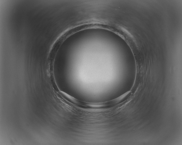 X0000073831310200608170931