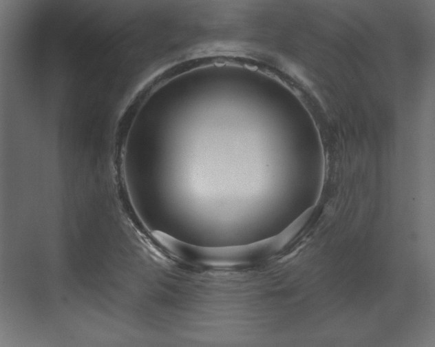 X0000073831312200608170931