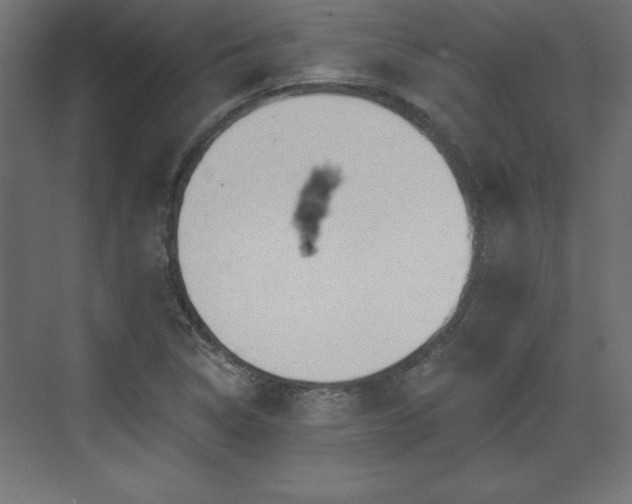 X0000073831314200608170931