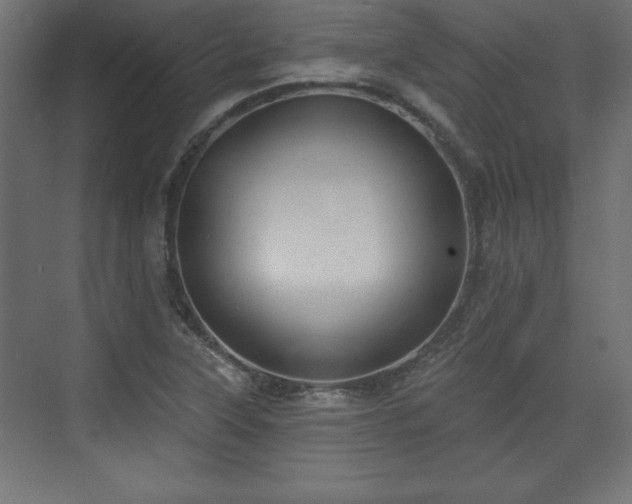 X0000073831315200608170931