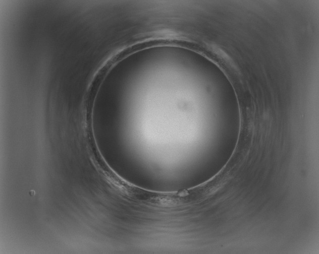 X0000073831318200608170931