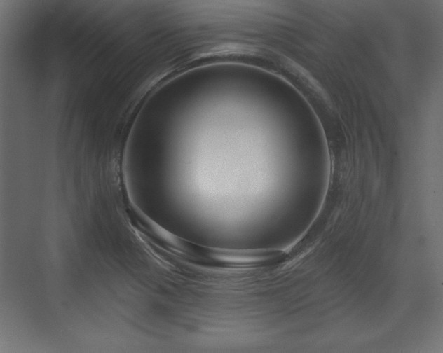 X0000073831321200608170931