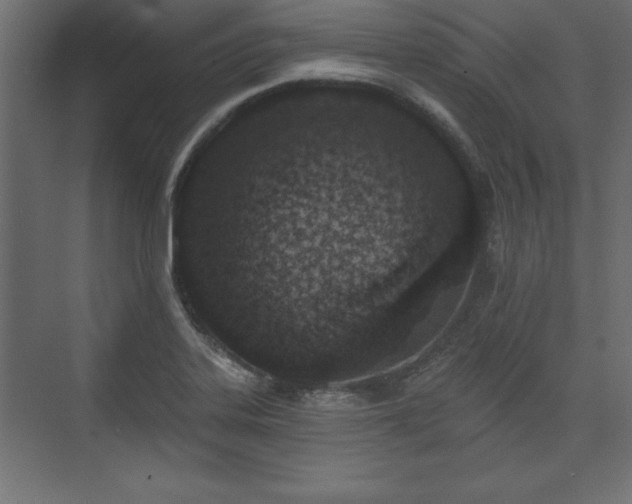 X0000073831323200608170931