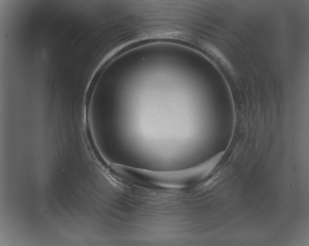 X0000073831324200608170931