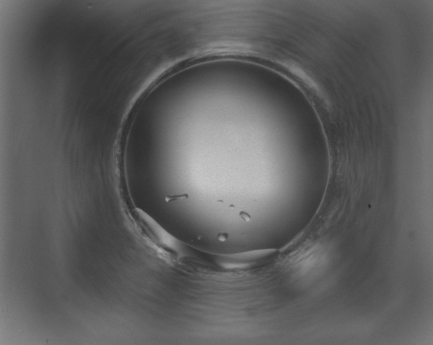 X0000073831325200608170931