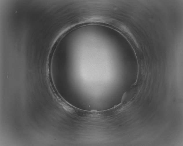 X0000073831328200608170931