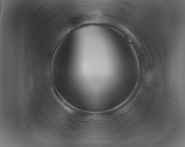 X0000073831329200608170931