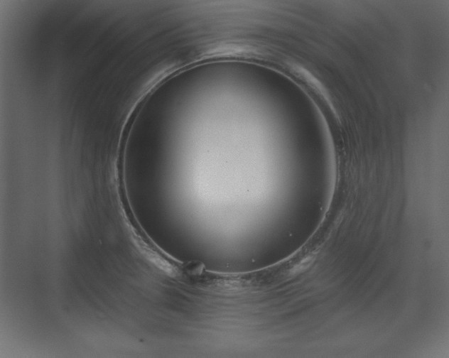 X0000073831330200608170931