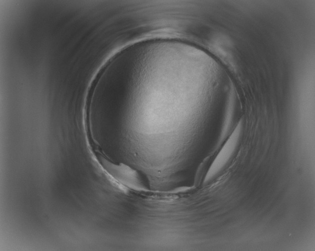 X0000073831334200608170931