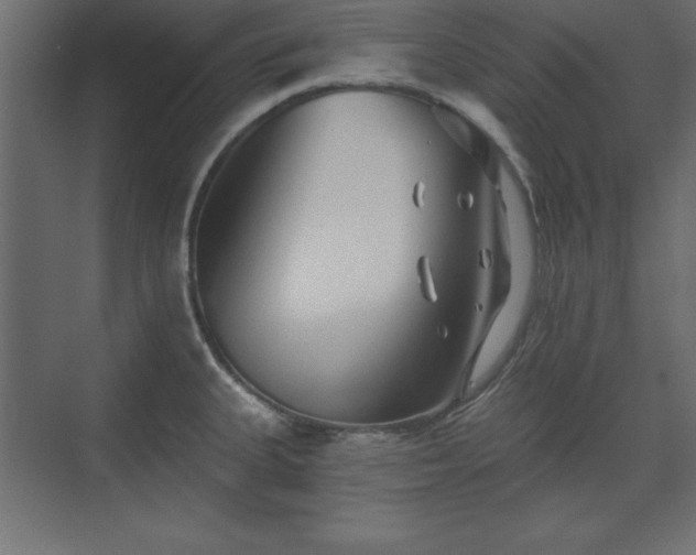 X0000073831335200608170931