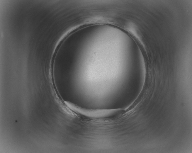 X0000073831336200608170931