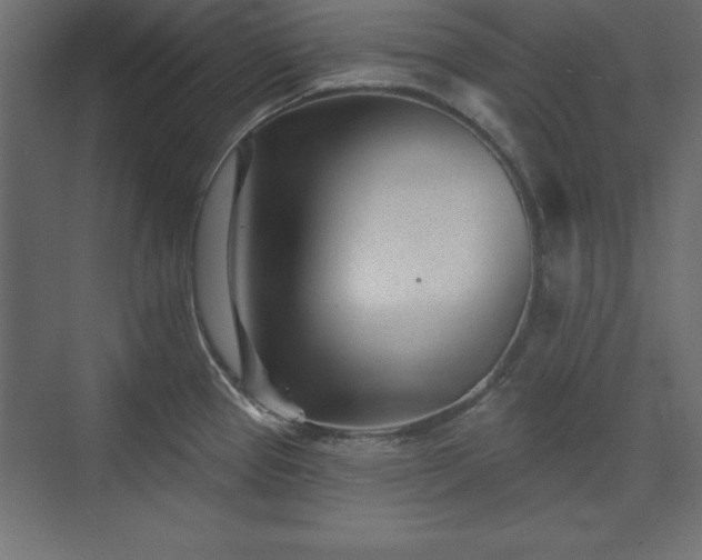 X0000073831337200608170931