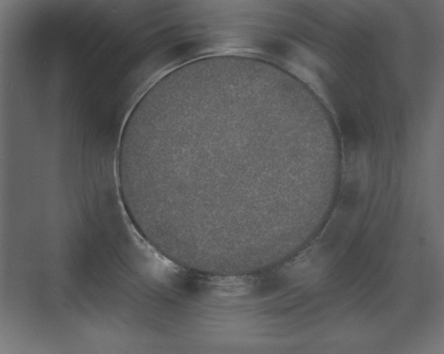 X0000073831338200608170931