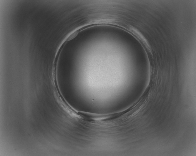 X0000073831340200608170931