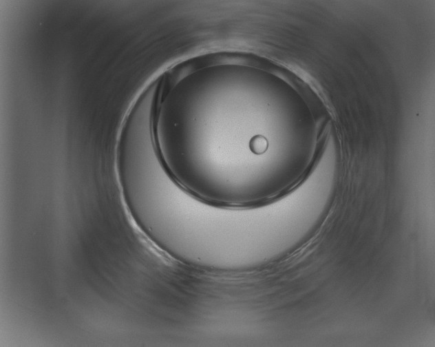 X0000073831342200608170931